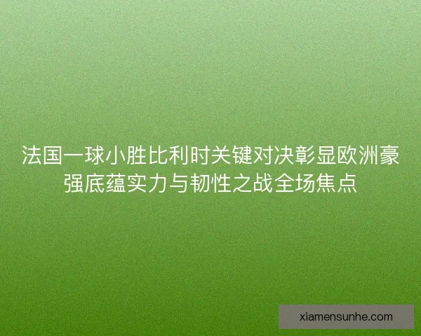 法国一球小胜比利时关键对决彰显欧洲豪强底蕴实力与韧性之战全场焦点